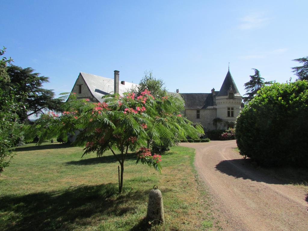 Chateau De La Roche Martel Bed & Breakfast Roiffe Luaran gambar