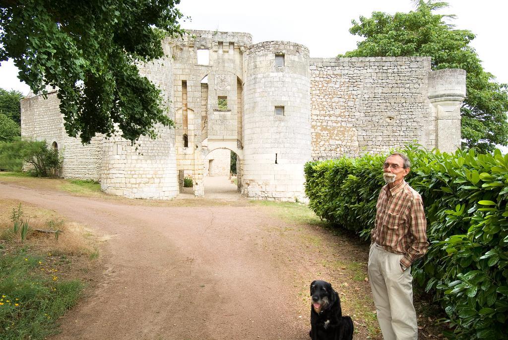 Chateau De La Roche Martel Bed & Breakfast Roiffe Luaran gambar